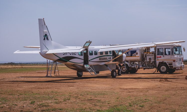 2-Day Serengeti Flying Safari & Wildlife Viewing Tour
