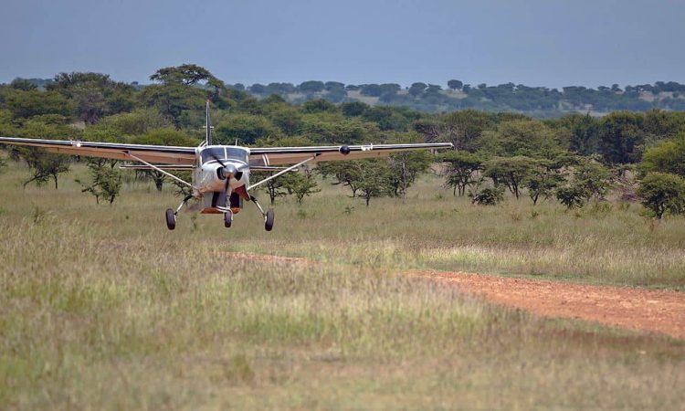 3-Day Serengeti Flying Safari & Wildlife Tour in Tanzania
