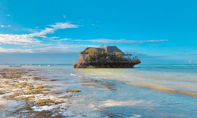 7-Day Maasai Mara Safari Tour & Zanzibar Beach Holiday